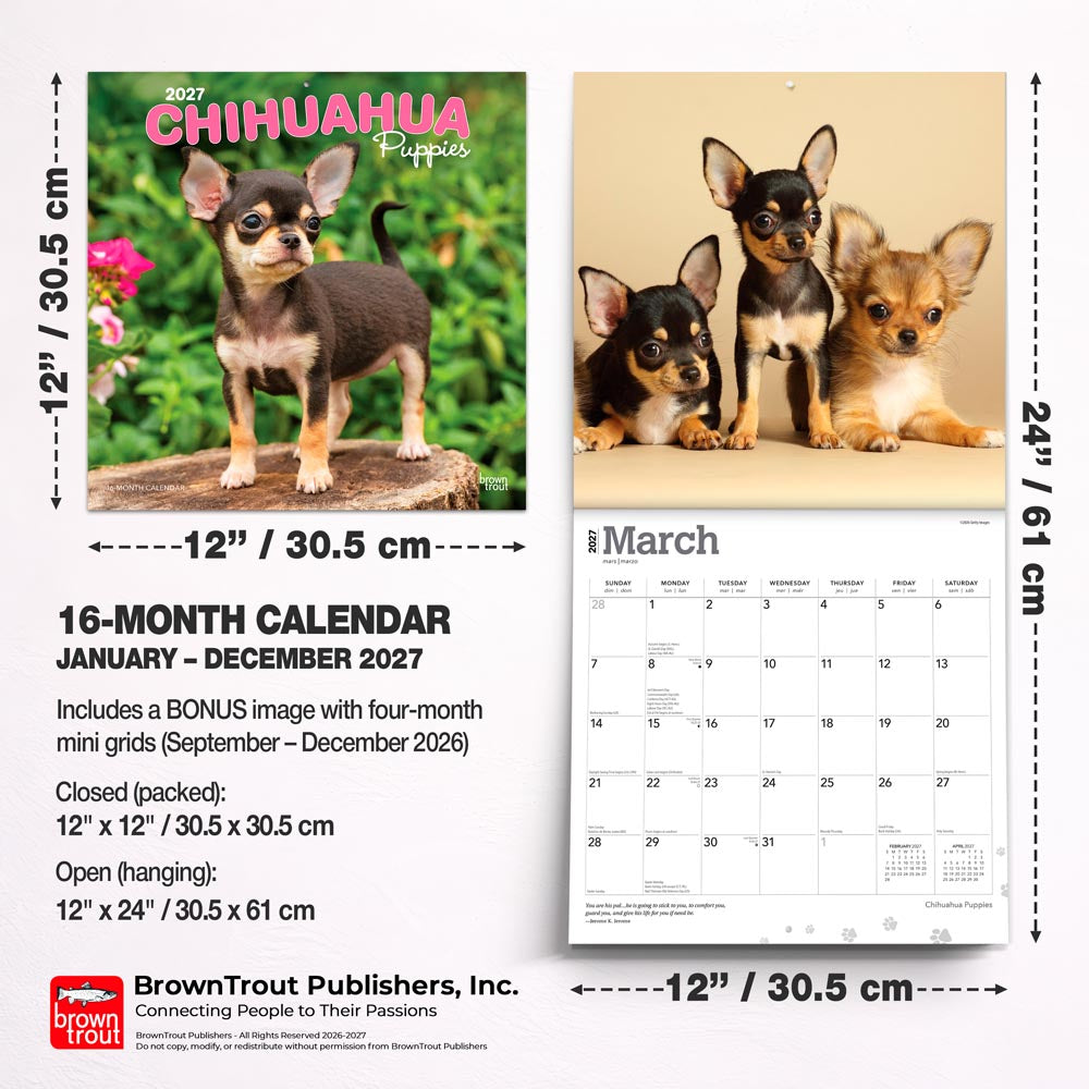 Chihuahua Puppies | 2027 12 x 24 Inch (Hanging) Monthly Square Wall Calendar
