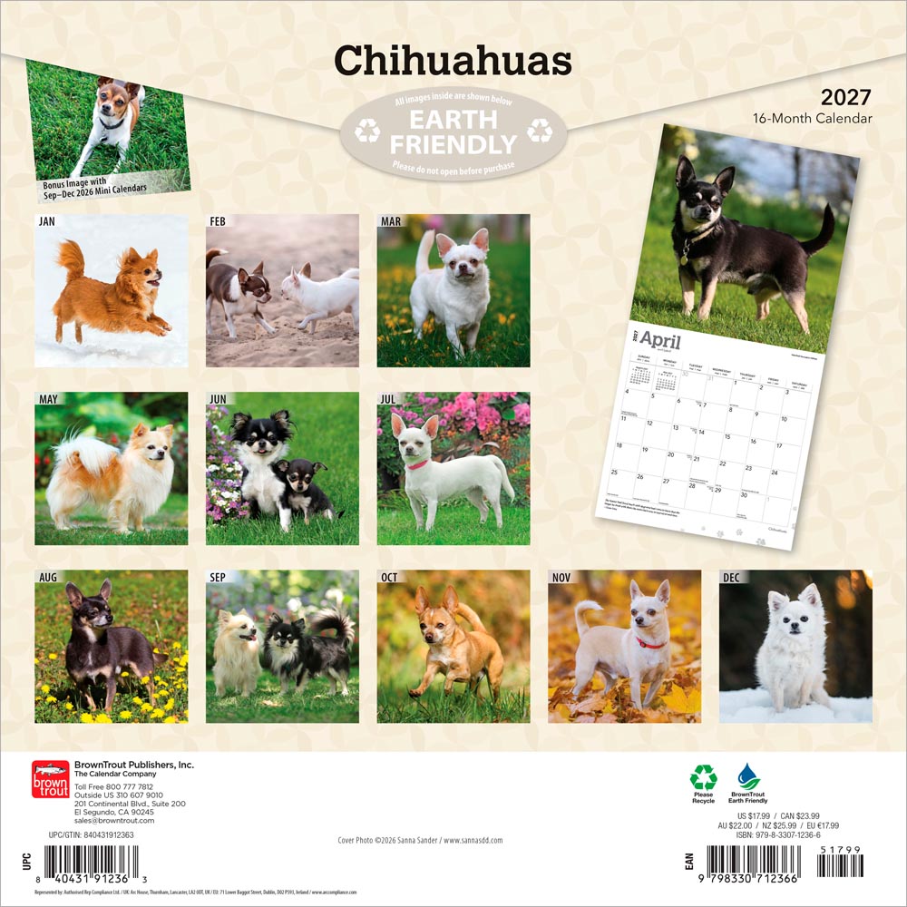 Chihuahuas | 2027 12 x 24 Inch (Hanging) Monthly Square Wall Calendar
