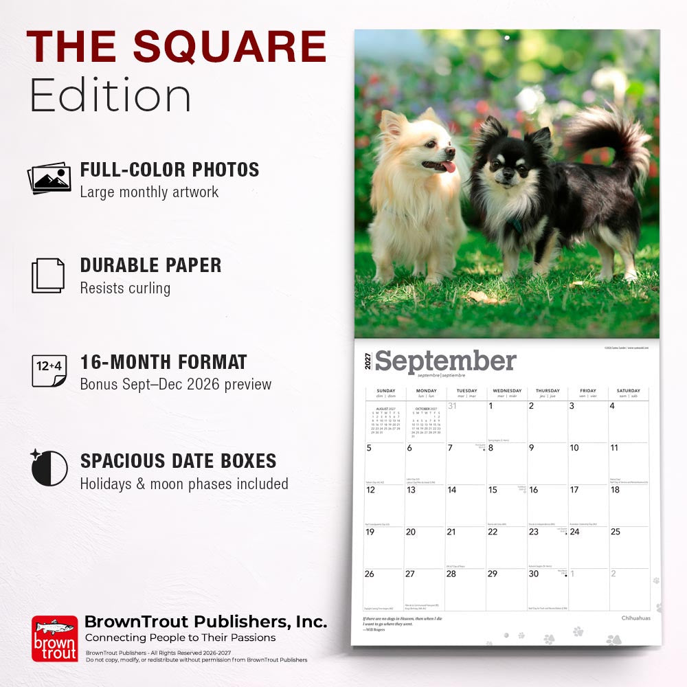 Chihuahuas | 2027 12 x 24 Inch (Hanging) Monthly Square Wall Calendar
