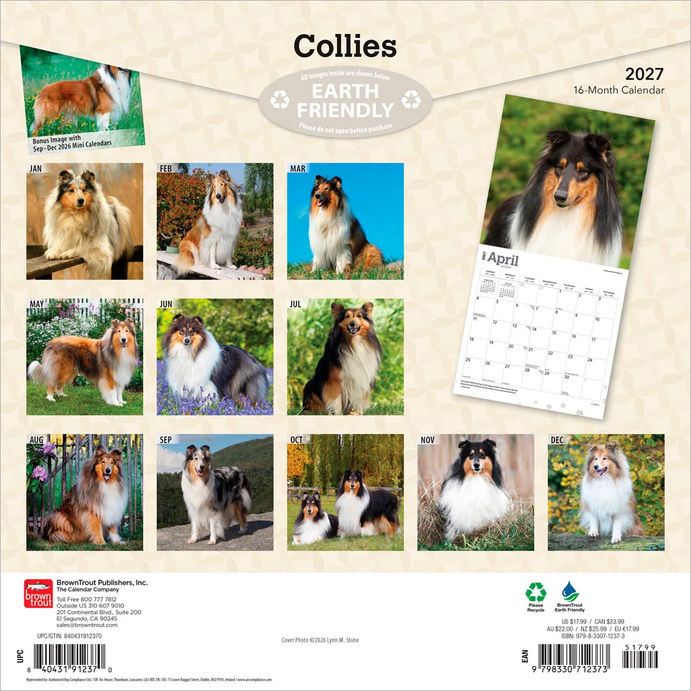 Collies | 2027 12 x 24 Inch (Hanging) Monthly Square Wall Calendar
