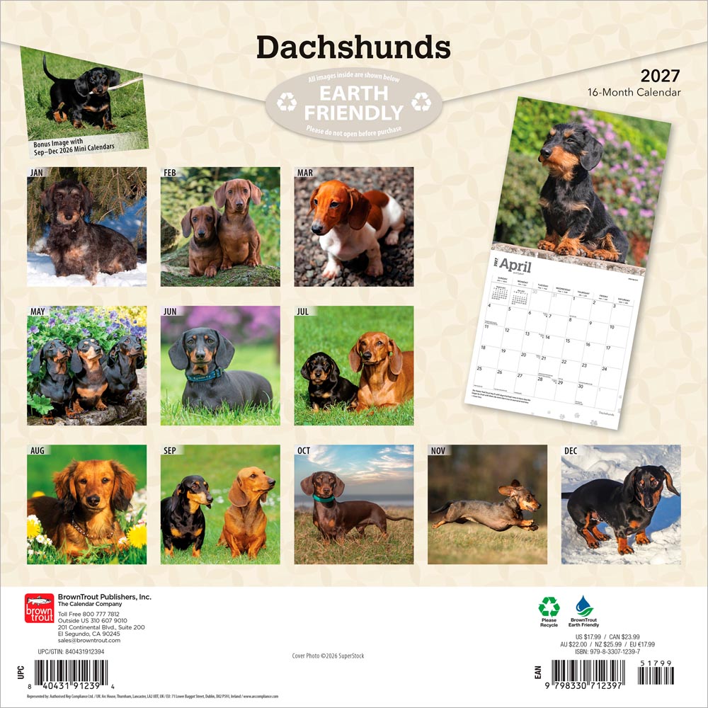 Dachshunds | 2027 12 x 24 Inch (Hanging) Monthly Square Wall Calendar | Foil Stamped Cover