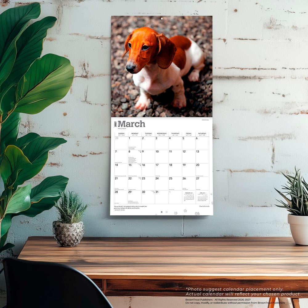 Dachshunds | 2027 12 x 24 Inch (Hanging) Monthly Square Wall Calendar | Foil Stamped Cover