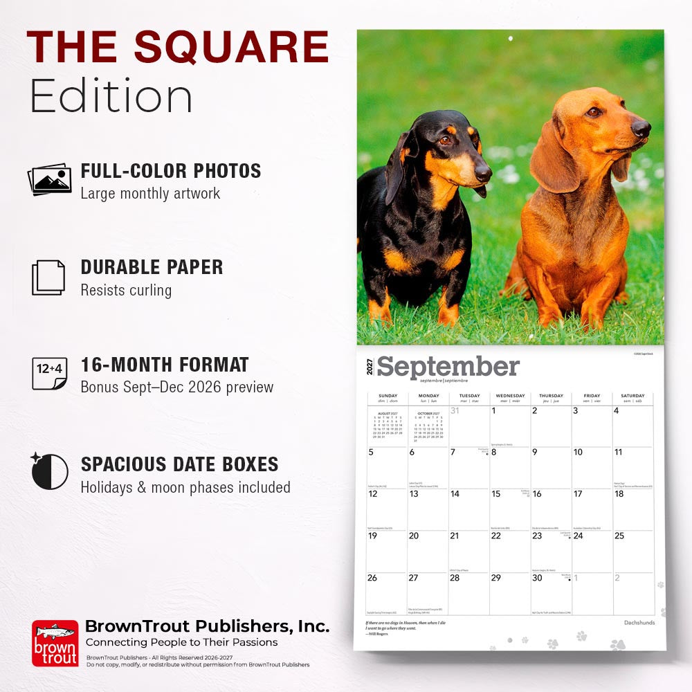 Dachshunds | 2027 12 x 24 Inch (Hanging) Monthly Square Wall Calendar | Foil Stamped Cover