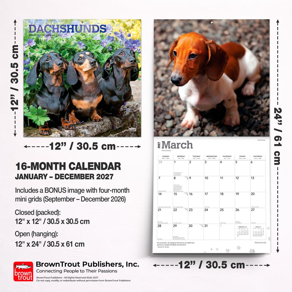 Dachshunds | 2027 12 x 24 Inch (Hanging) Monthly Square Wall Calendar | Foil Stamped Cover