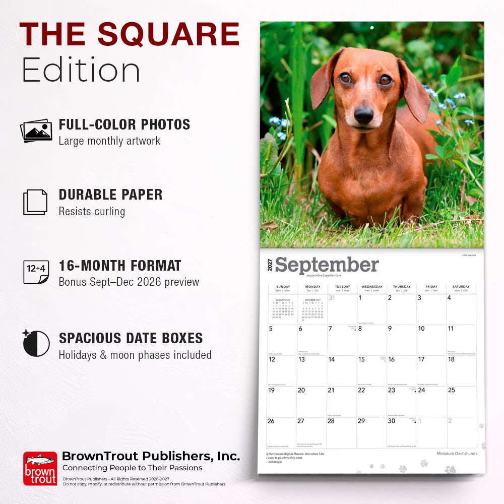 Miniature Dachshunds | 2027 12 x 24 Inch (Hanging) Monthly Square Wall Calendar