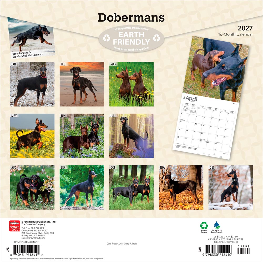 Dobermans | 2027 12 x 24 Inch (Hanging) Monthly Square Wall Calendar