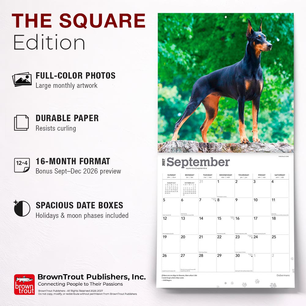 Dobermans | 2027 12 x 24 Inch (Hanging) Monthly Square Wall Calendar