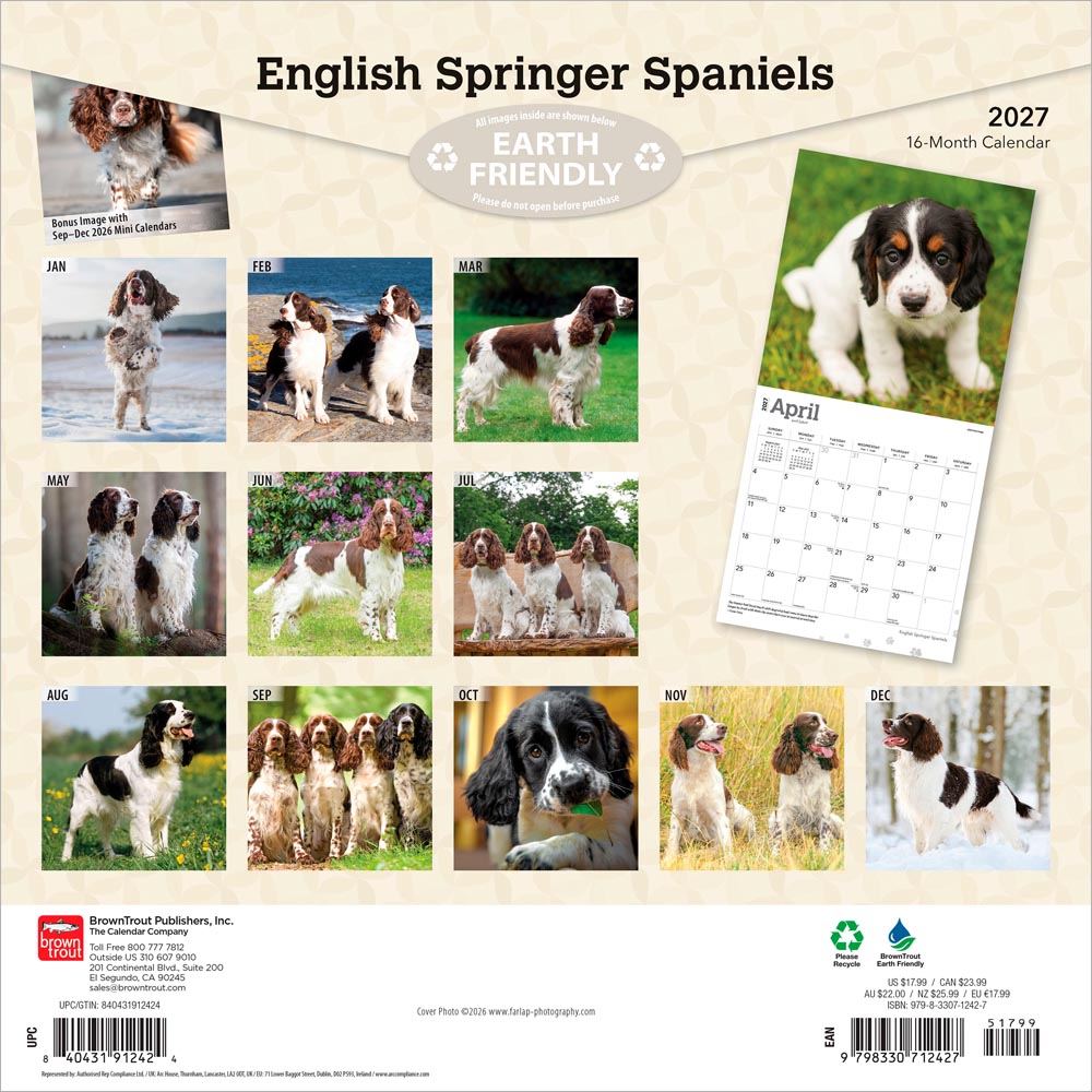 English Springer Spaniels | 2027 12 x 24 Inch (Hanging) Monthly Square Wall Calendar