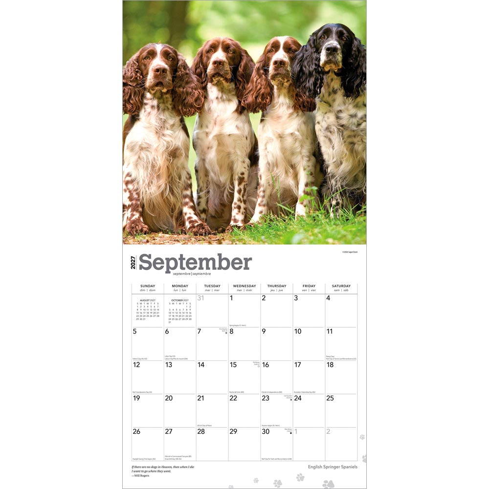 English Springer Spaniels | 2027 12 x 24 Inch (Hanging) Monthly Square Wall Calendar