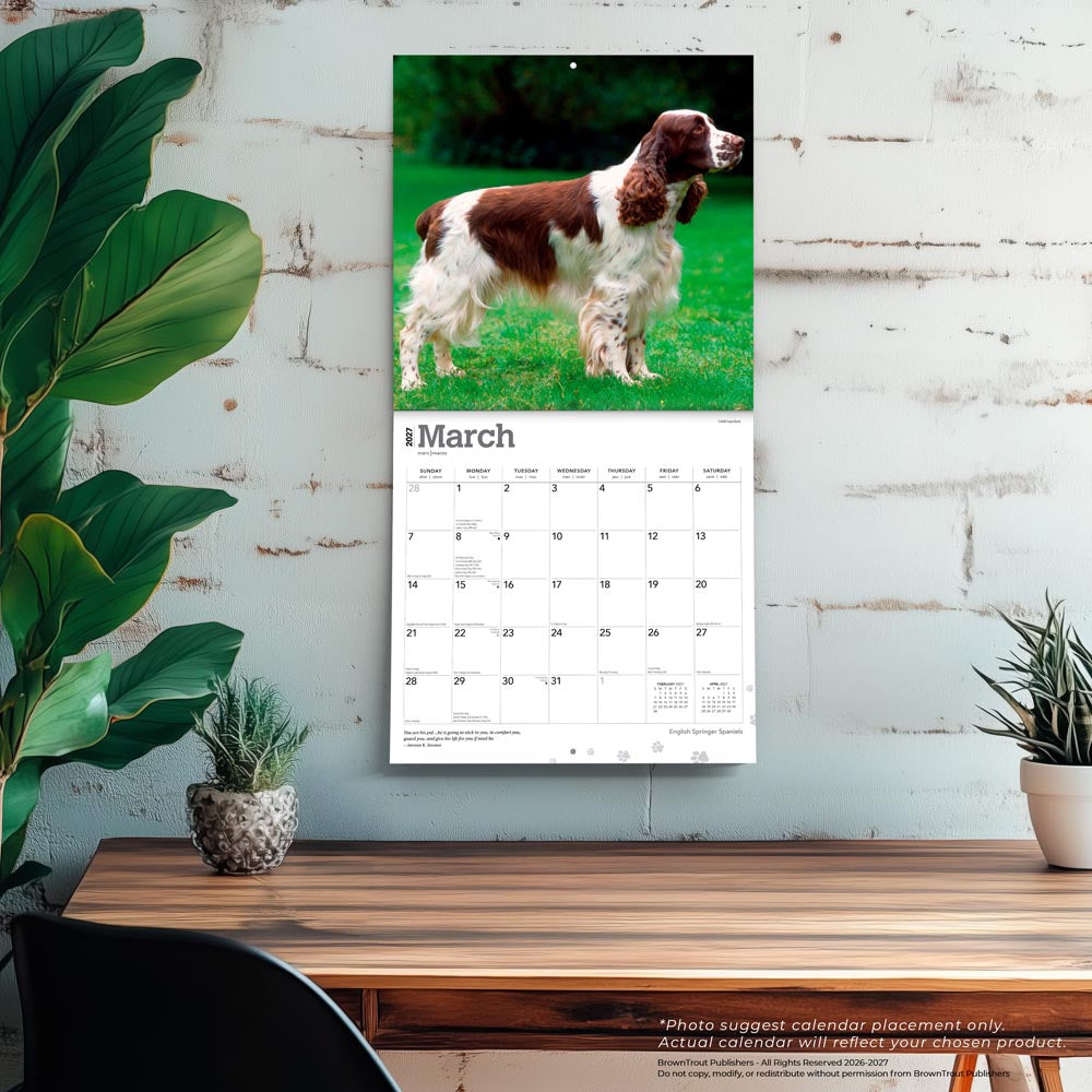 English Springer Spaniels | 2027 12 x 24 Inch (Hanging) Monthly Square Wall Calendar