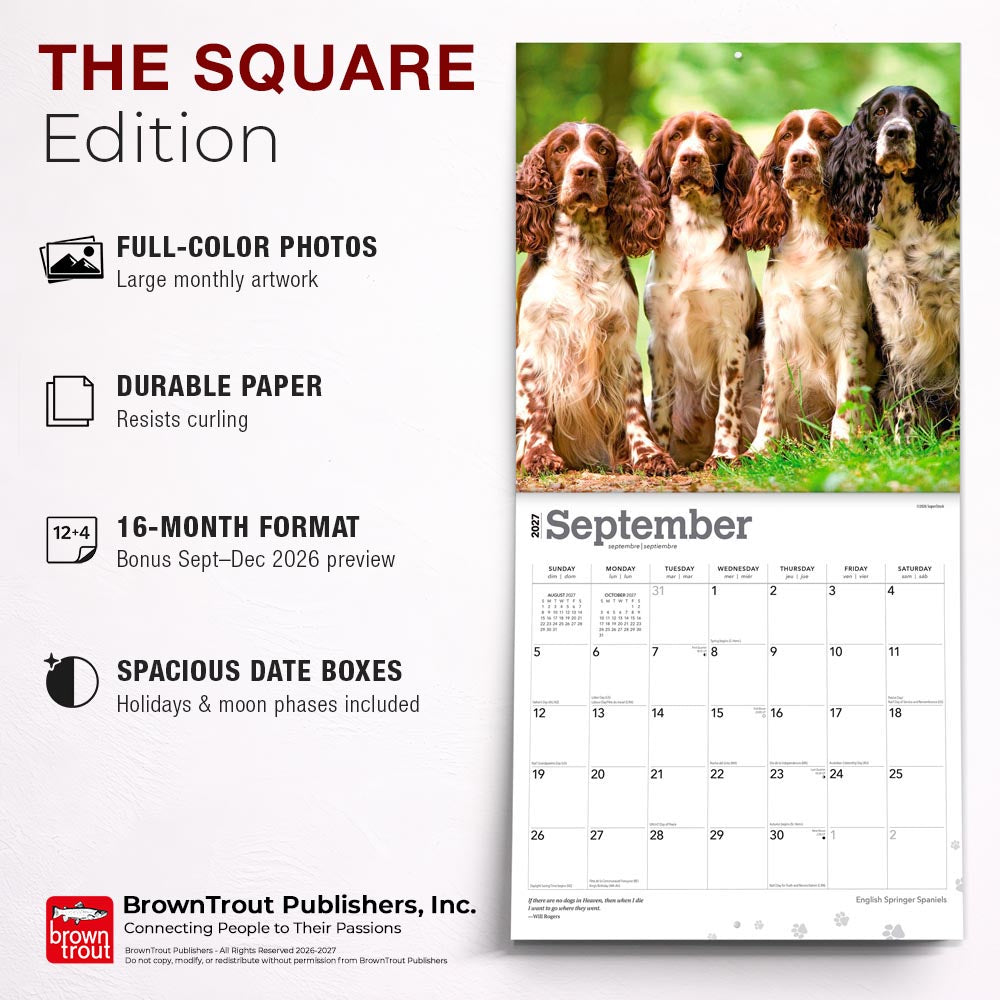 English Springer Spaniels | 2027 12 x 24 Inch (Hanging) Monthly Square Wall Calendar
