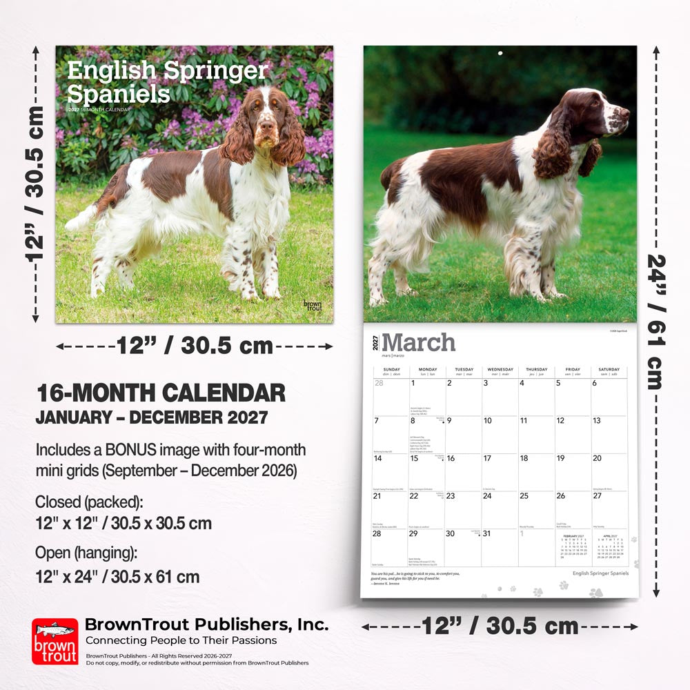 English Springer Spaniels | 2027 12 x 24 Inch (Hanging) Monthly Square Wall Calendar