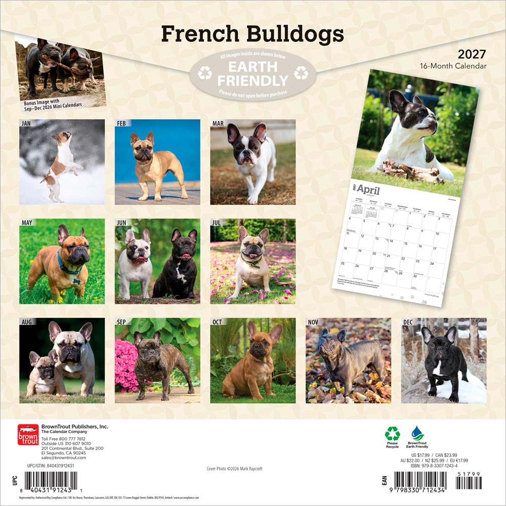 French Bulldogs | 2027 12 x 24 Inch (Hanging) Monthly Square Wall Calendar