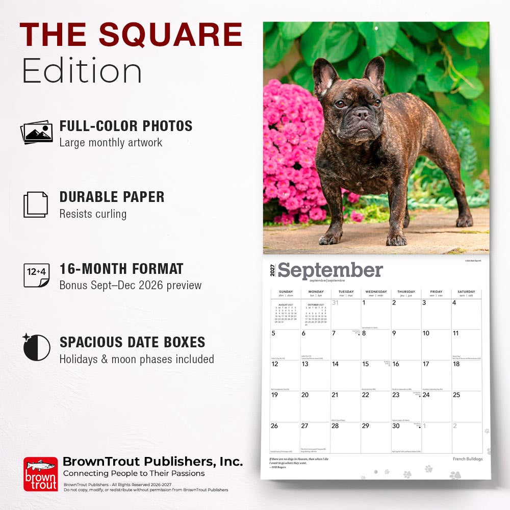 French Bulldogs | 2027 12 x 24 Inch (Hanging) Monthly Square Wall Calendar