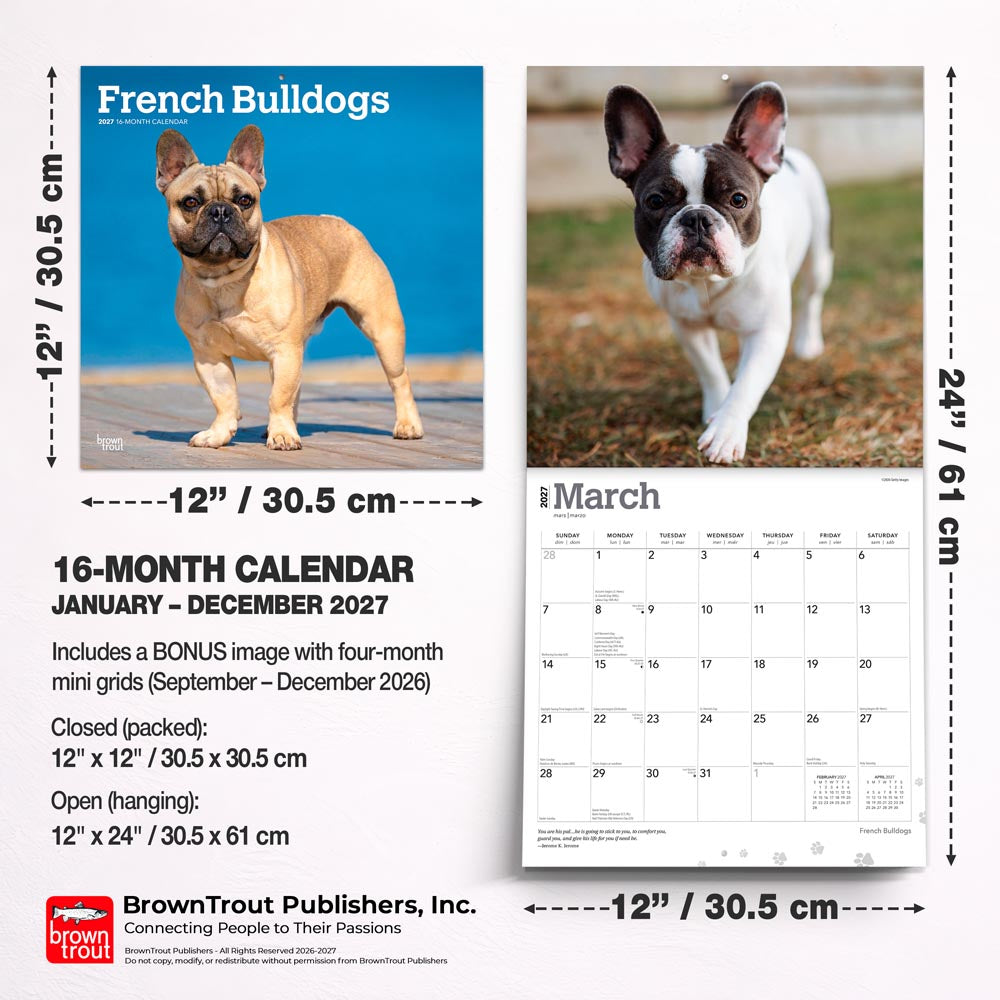 French Bulldogs | 2027 12 x 24 Inch (Hanging) Monthly Square Wall Calendar