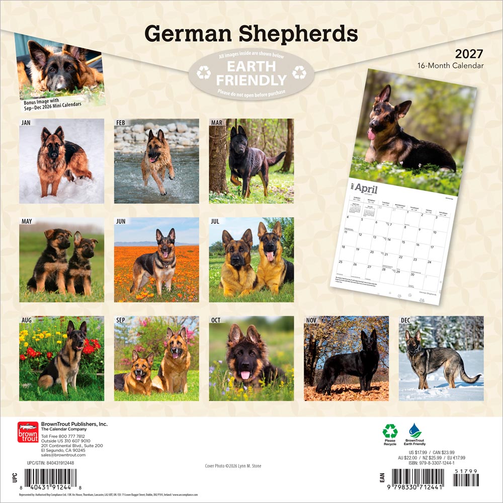 German Shepherds | 2027 12 x 24 Inch (Hanging) Monthly Square Wall Calendar