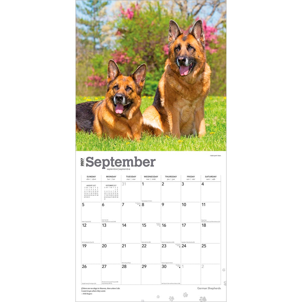 German Shepherds | 2027 12 x 24 Inch (Hanging) Monthly Square Wall Calendar