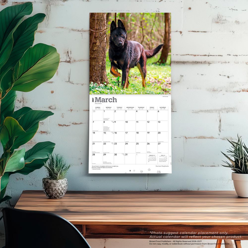 German Shepherds | 2027 12 x 24 Inch (Hanging) Monthly Square Wall Calendar