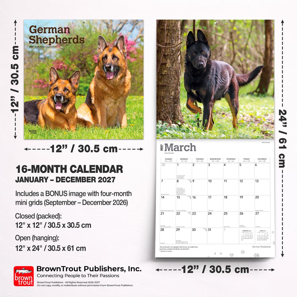 German Shepherds | 2027 12 x 24 Inch (Hanging) Monthly Square Wall Calendar