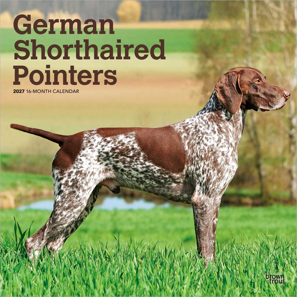 German Shorthaired Pointers | 2027 12 x 24 Inch (Hanging) Monthly Square Wall Calendar