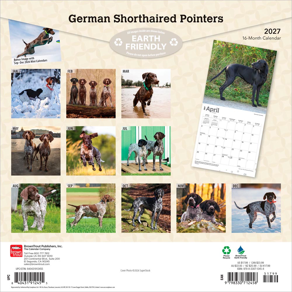 German Shorthaired Pointers | 2027 12 x 24 Inch (Hanging) Monthly Square Wall Calendar