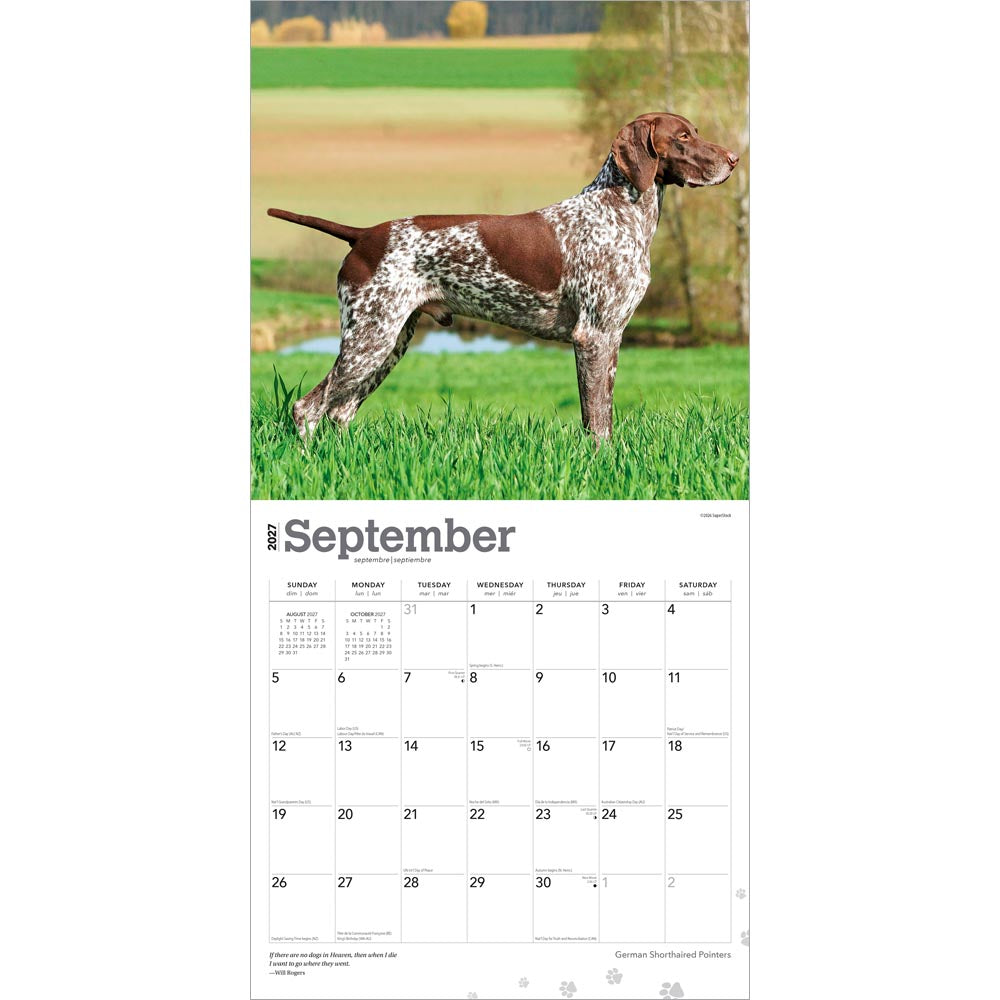 German Shorthaired Pointers | 2027 12 x 24 Inch (Hanging) Monthly Square Wall Calendar
