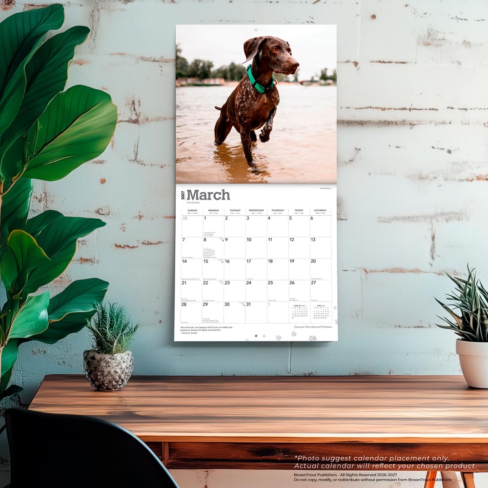 German Shorthaired Pointers | 2027 12 x 24 Inch (Hanging) Monthly Square Wall Calendar