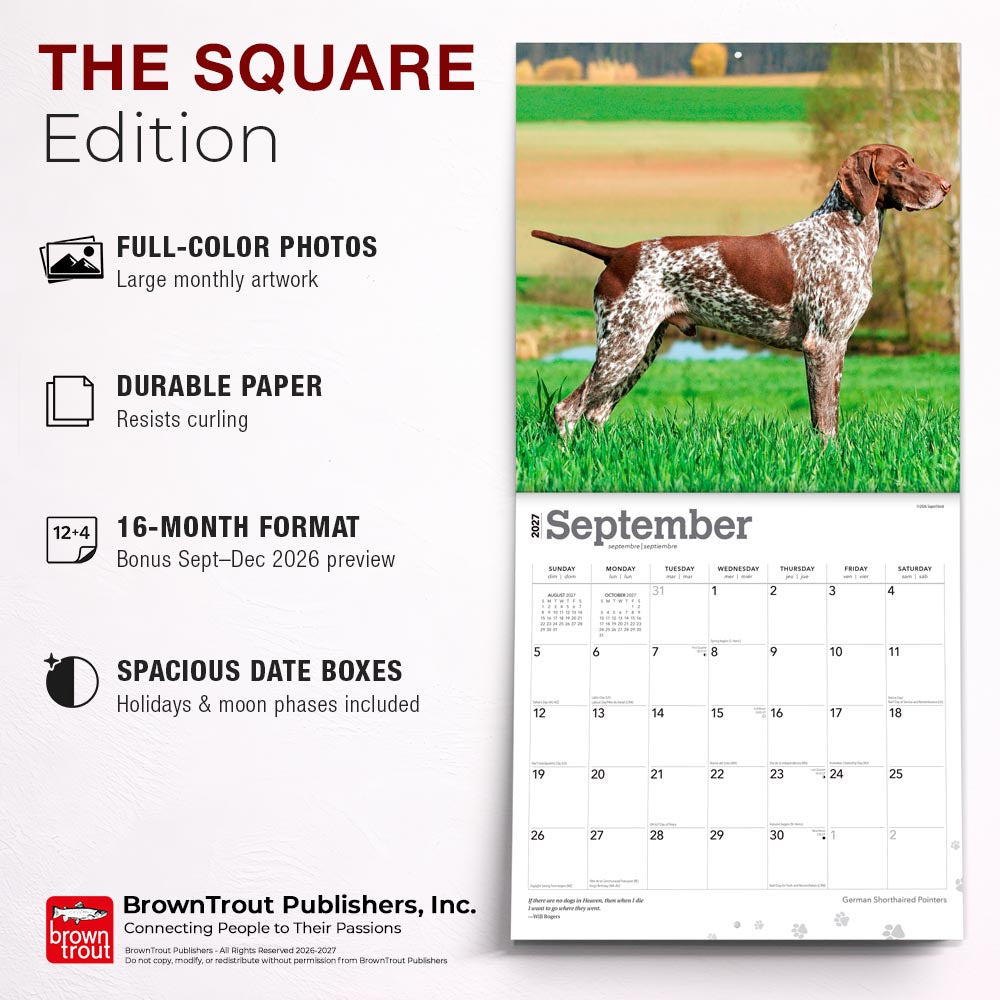 German Shorthaired Pointers | 2027 12 x 24 Inch (Hanging) Monthly Square Wall Calendar