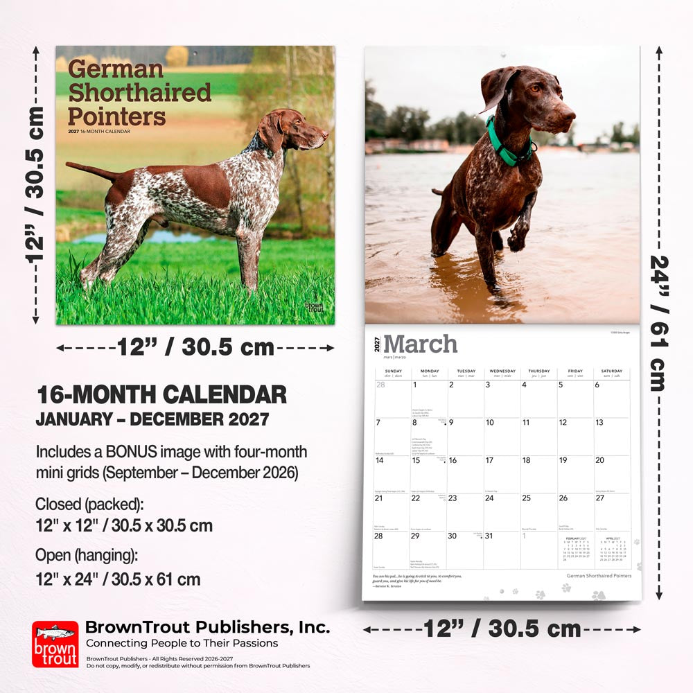 German Shorthaired Pointers | 2027 12 x 24 Inch (Hanging) Monthly Square Wall Calendar