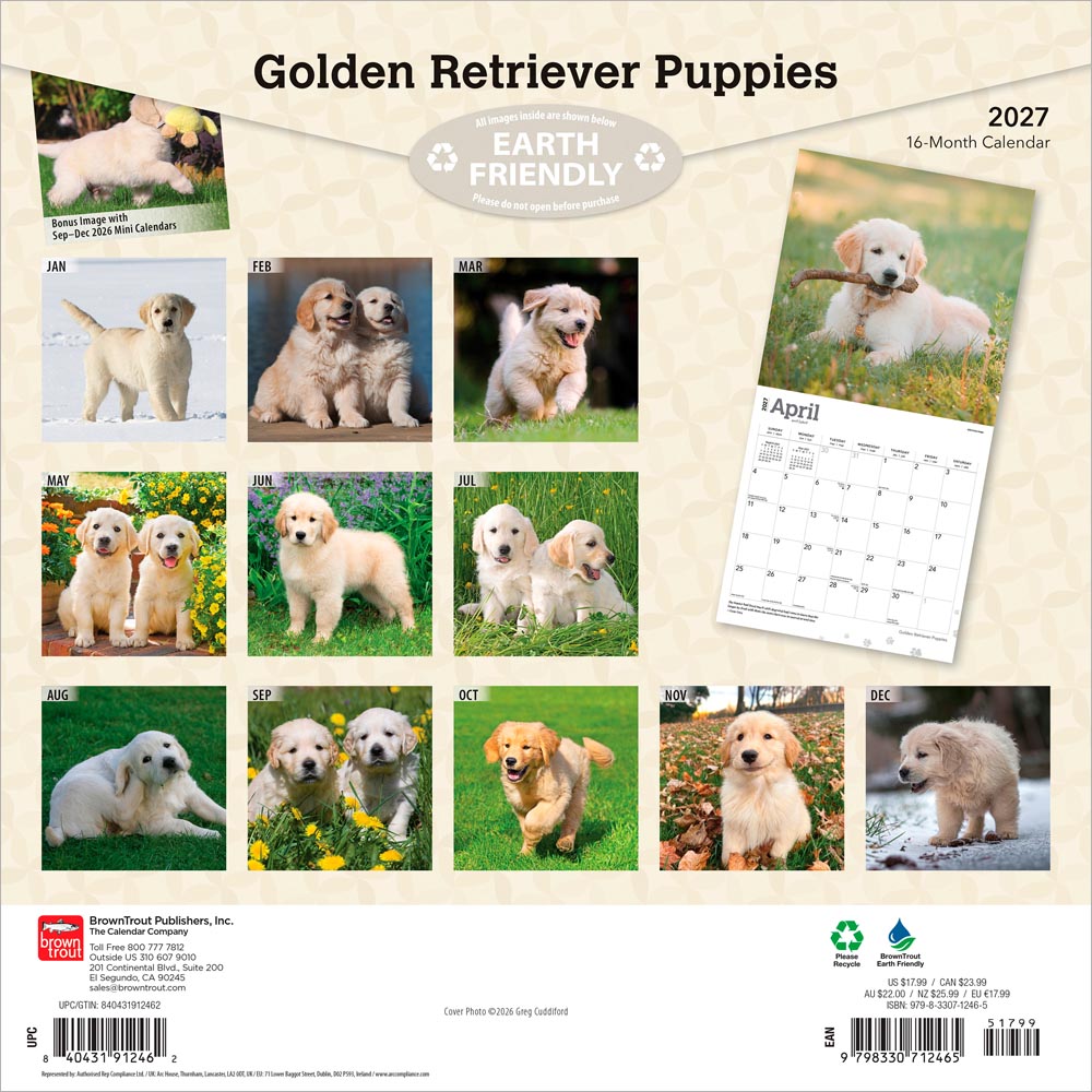 Golden Retriever Puppies | 2027 12 x 24 Inch (Hanging) Monthly Square Wall Calendar