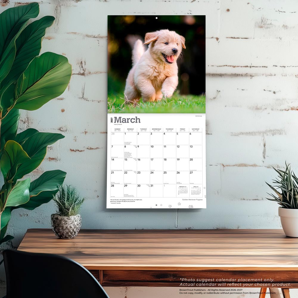Golden Retriever Puppies | 2027 12 x 24 Inch (Hanging) Monthly Square Wall Calendar