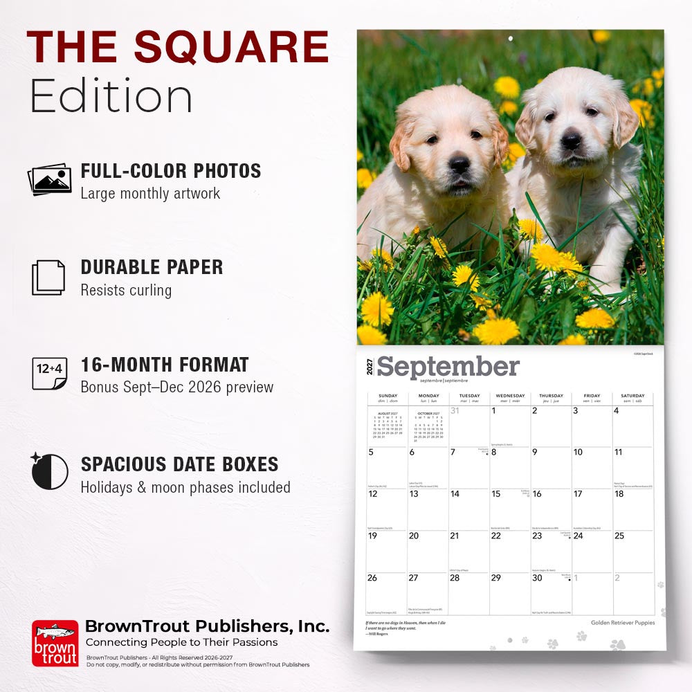 Golden Retriever Puppies | 2027 12 x 24 Inch (Hanging) Monthly Square Wall Calendar