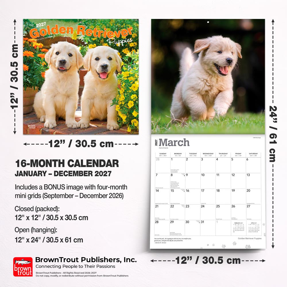 Golden Retriever Puppies | 2027 12 x 24 Inch (Hanging) Monthly Square Wall Calendar