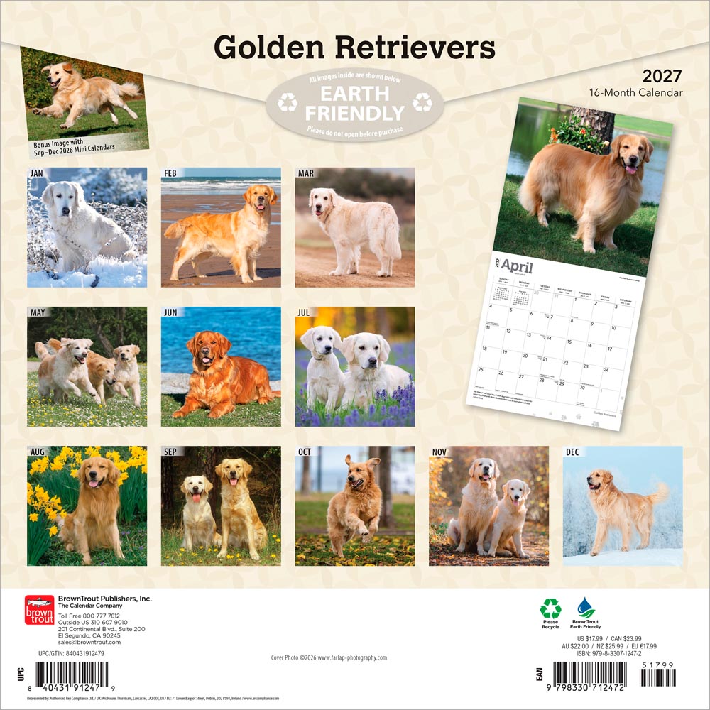 Golden Retrievers | 2027 12 x 24 Inch (Hanging) Monthly Square Wall Calendar | Foil Stamped Cover