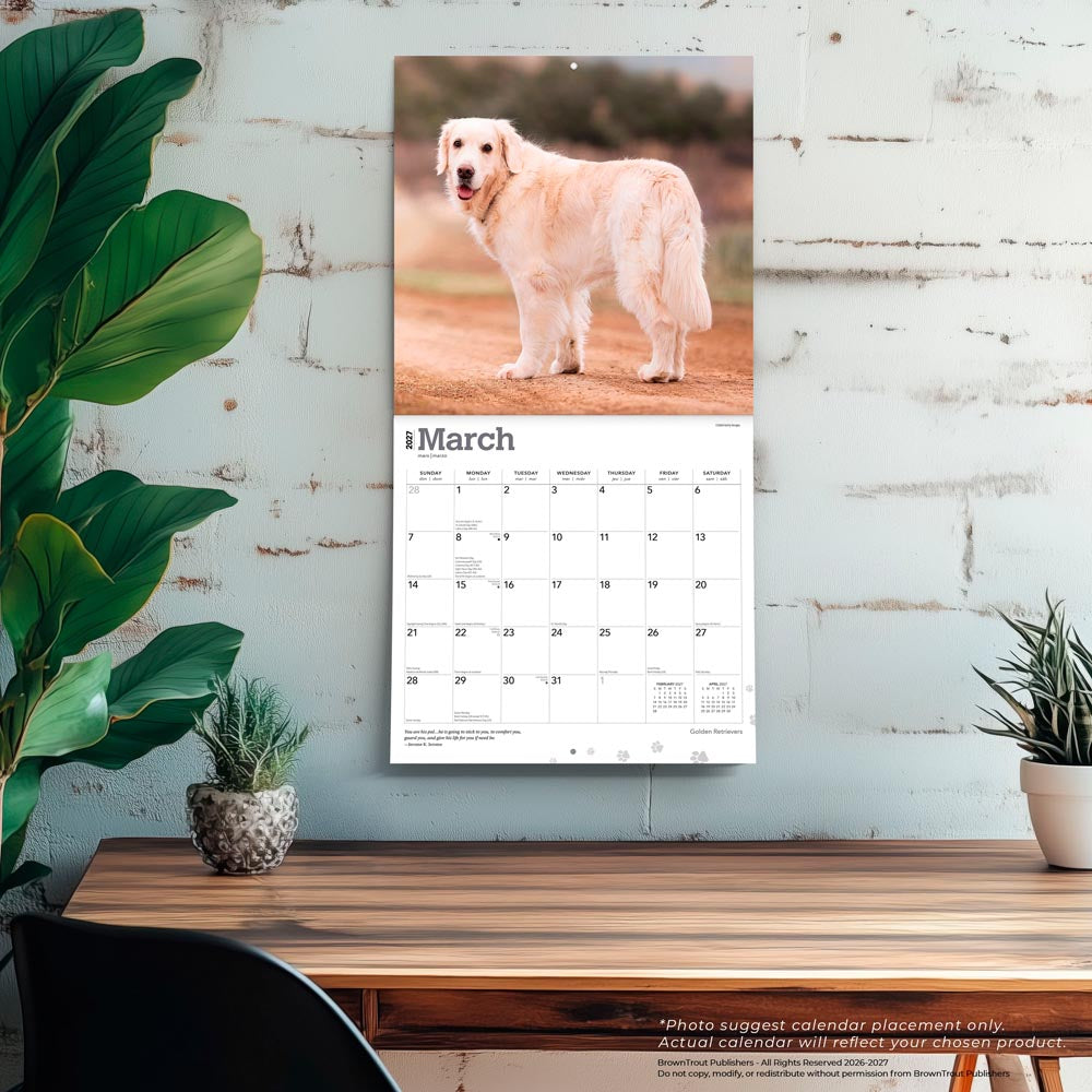 Golden Retrievers | 2027 12 x 24 Inch (Hanging) Monthly Square Wall Calendar | Foil Stamped Cover