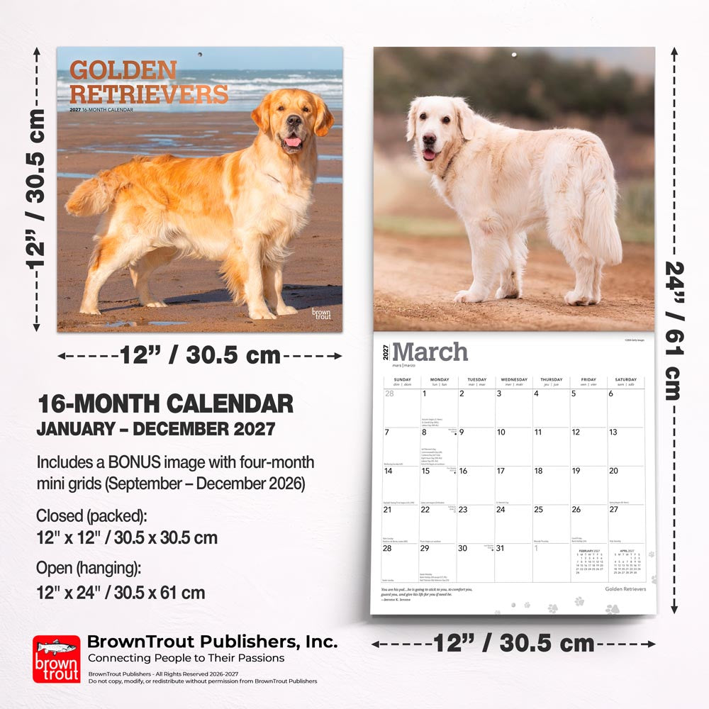 Golden Retrievers | 2027 12 x 24 Inch (Hanging) Monthly Square Wall Calendar | Foil Stamped Cover