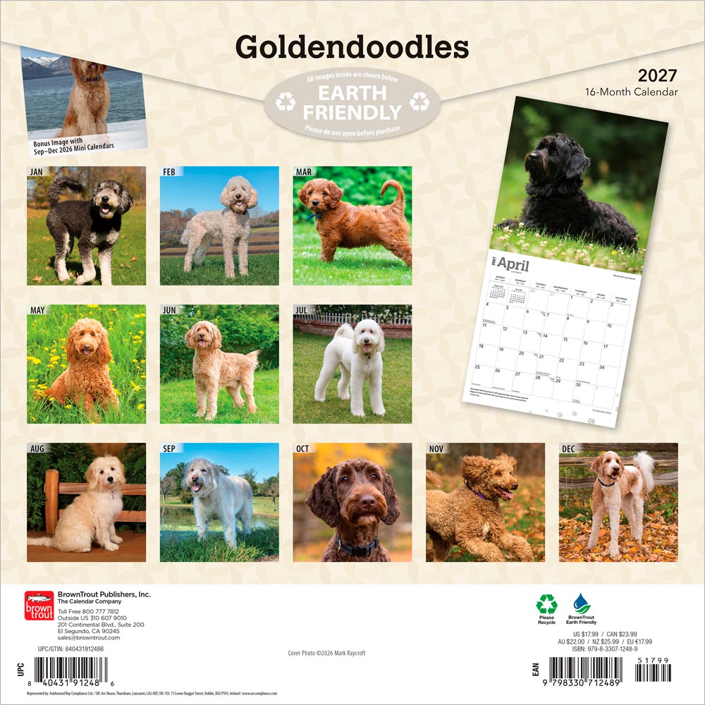 Goldendoodles | 2027 12 x 24 Inch (Hanging) Monthly Square Wall Calendar