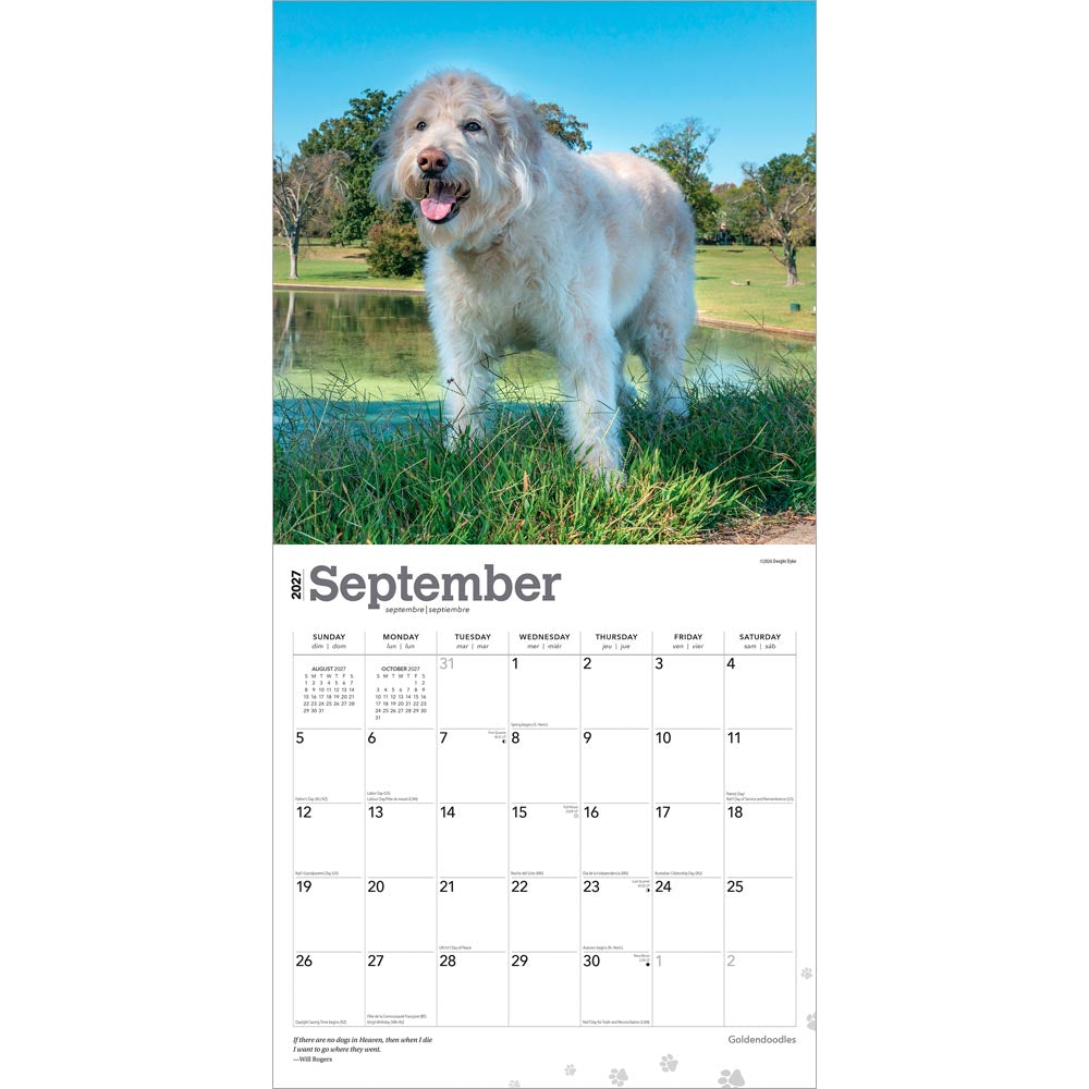 Goldendoodles | 2027 12 x 24 Inch (Hanging) Monthly Square Wall Calendar