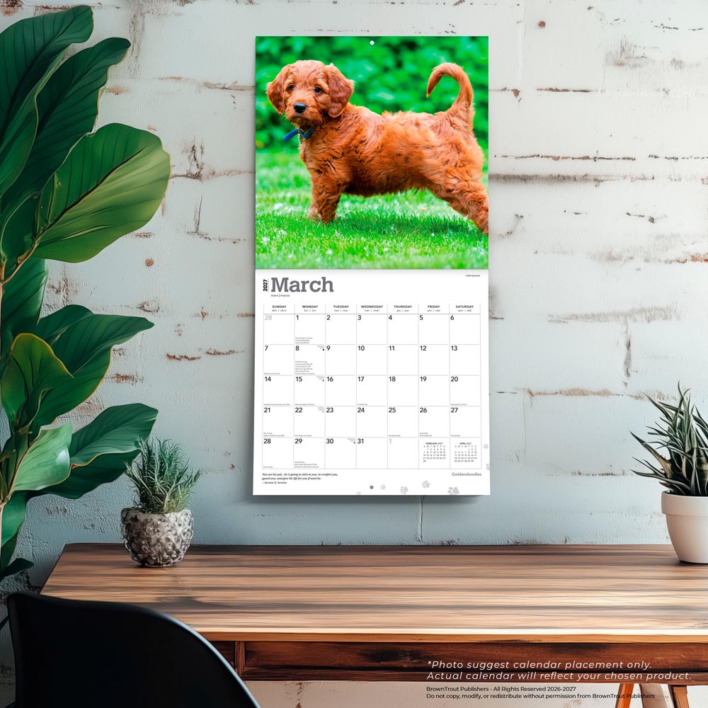 Goldendoodles | 2027 12 x 24 Inch (Hanging) Monthly Square Wall Calendar