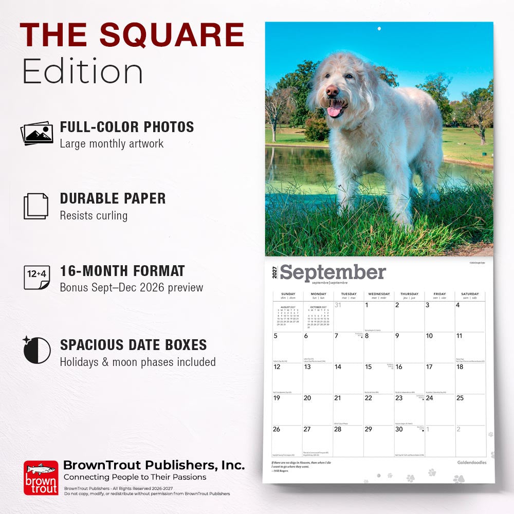 Goldendoodles | 2027 12 x 24 Inch (Hanging) Monthly Square Wall Calendar