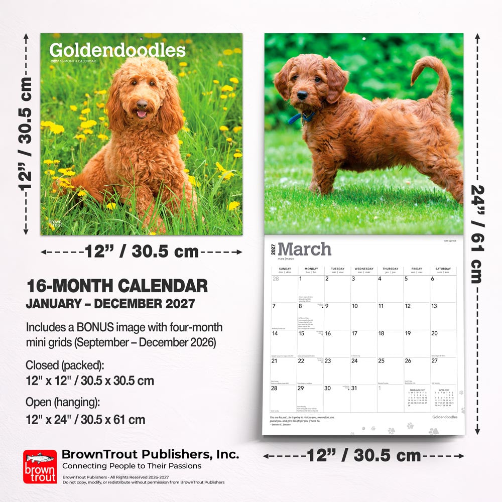 Goldendoodles | 2027 12 x 24 Inch (Hanging) Monthly Square Wall Calendar