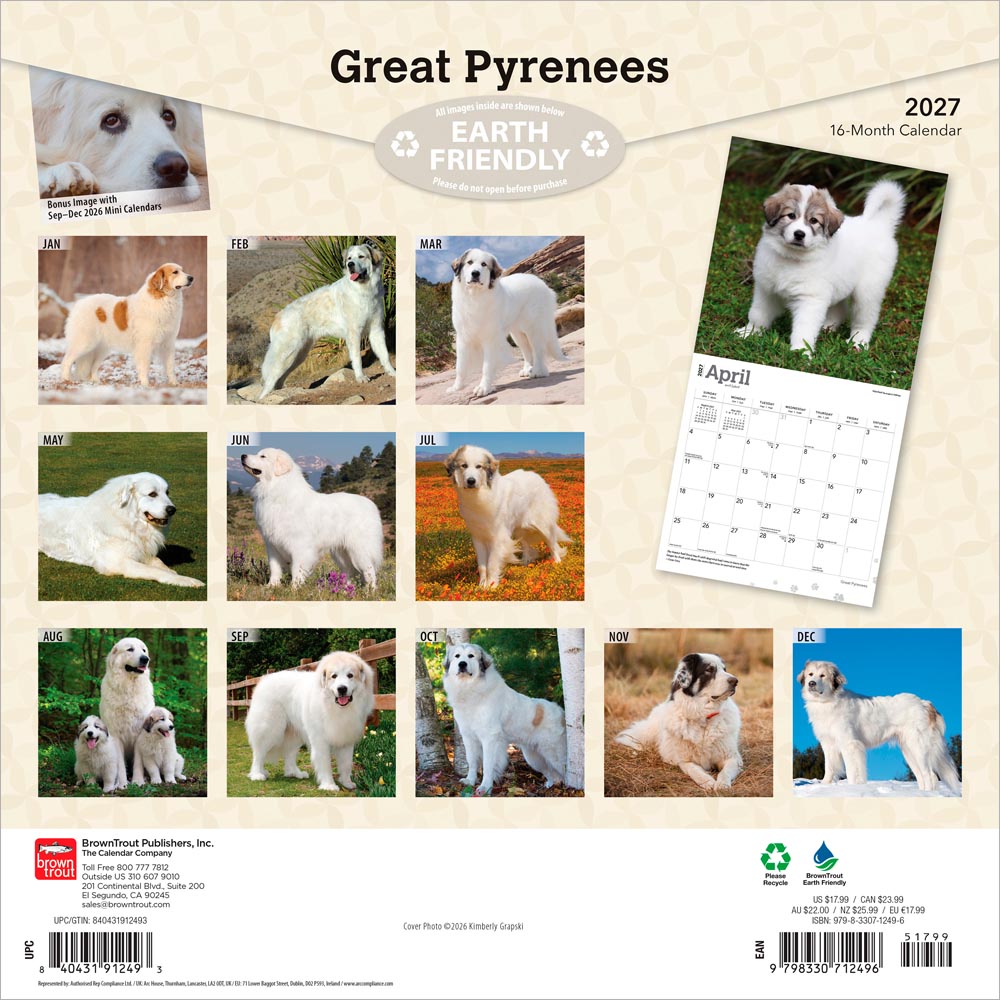 Great Pyrenees | 2027 12 x 24 Inch (Hanging) Monthly Square Wall Calendar
