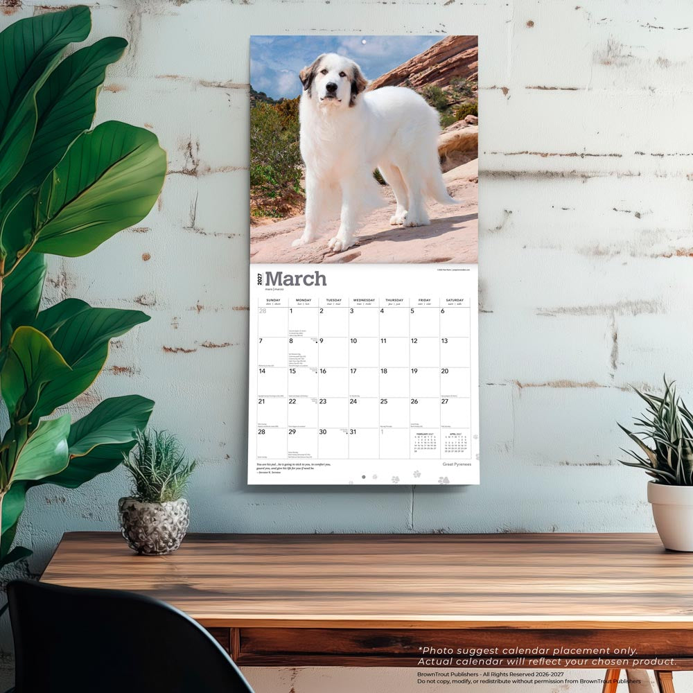 Great Pyrenees | 2027 12 x 24 Inch (Hanging) Monthly Square Wall Calendar