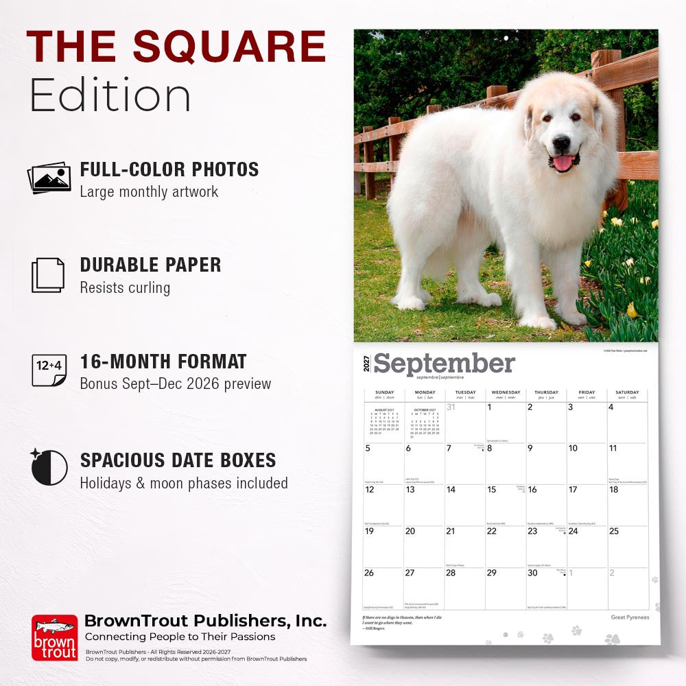 Great Pyrenees | 2027 12 x 24 Inch (Hanging) Monthly Square Wall Calendar