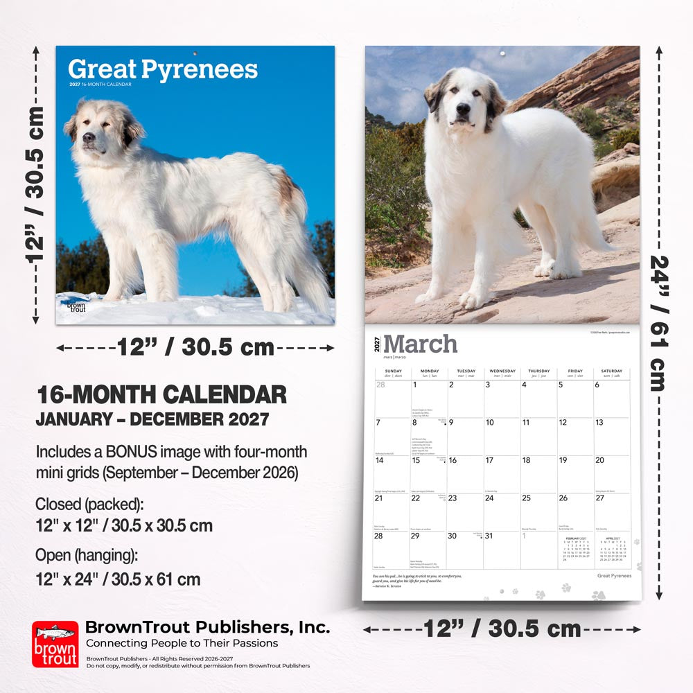 Great Pyrenees | 2027 12 x 24 Inch (Hanging) Monthly Square Wall Calendar
