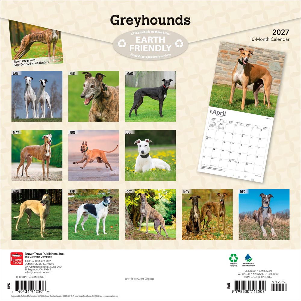 Greyhounds | 2027 12 x 24 Inch (Hanging) Monthly Square Wall Calendar