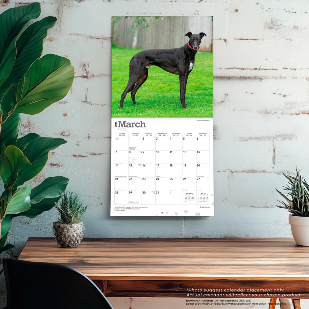 Greyhounds | 2027 12 x 24 Inch (Hanging) Monthly Square Wall Calendar