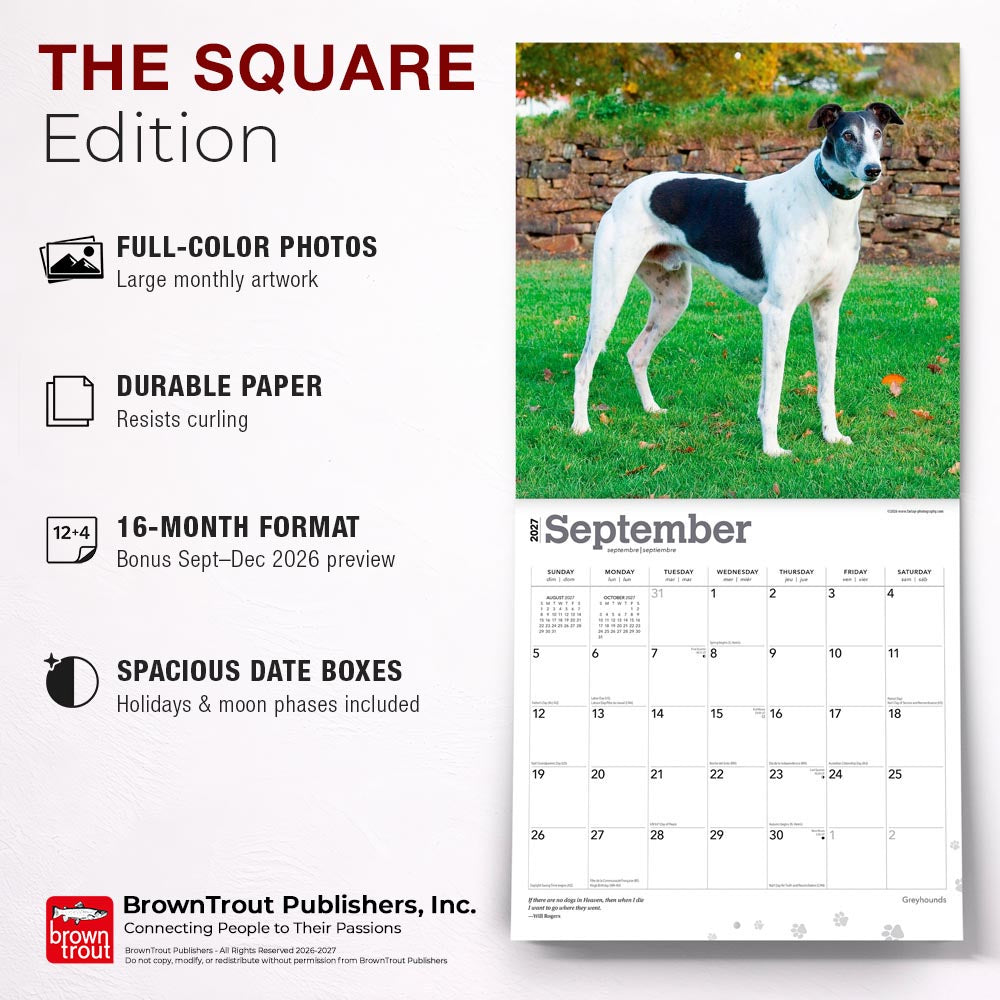 Greyhounds | 2027 12 x 24 Inch (Hanging) Monthly Square Wall Calendar