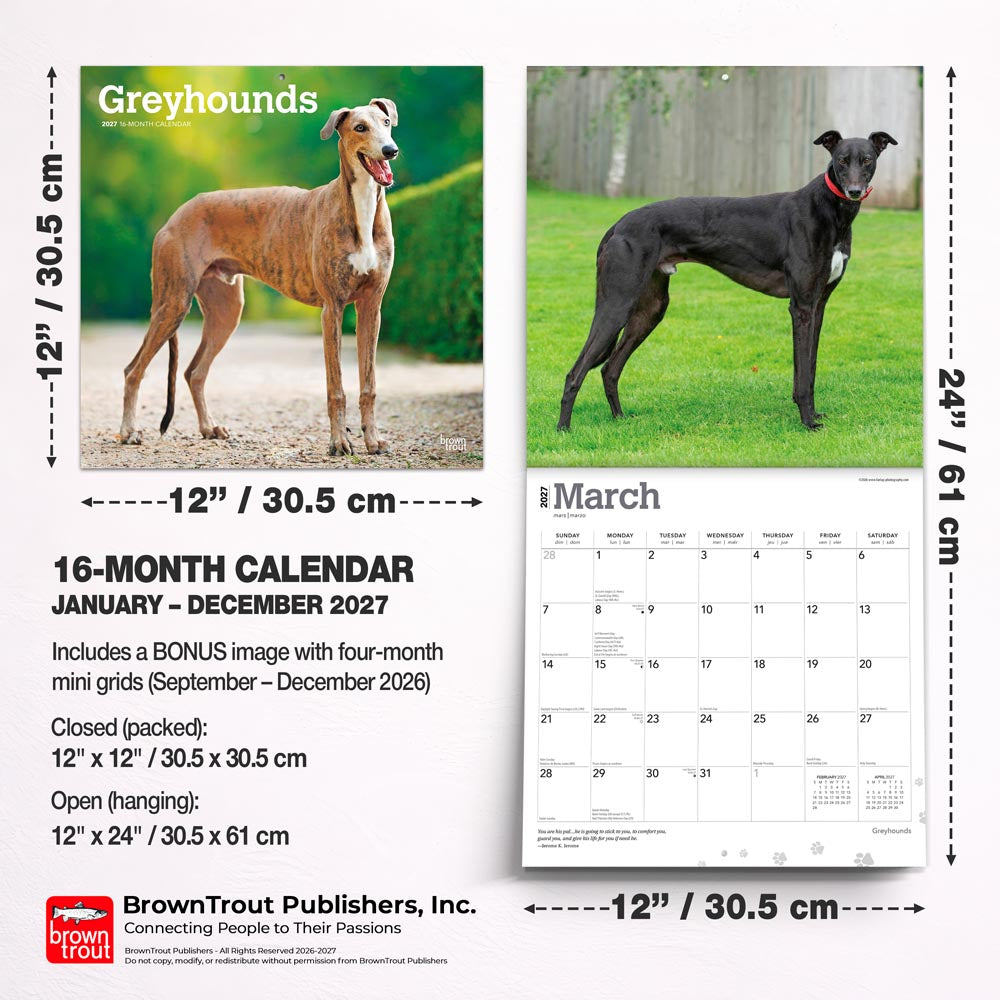 Greyhounds | 2027 12 x 24 Inch (Hanging) Monthly Square Wall Calendar