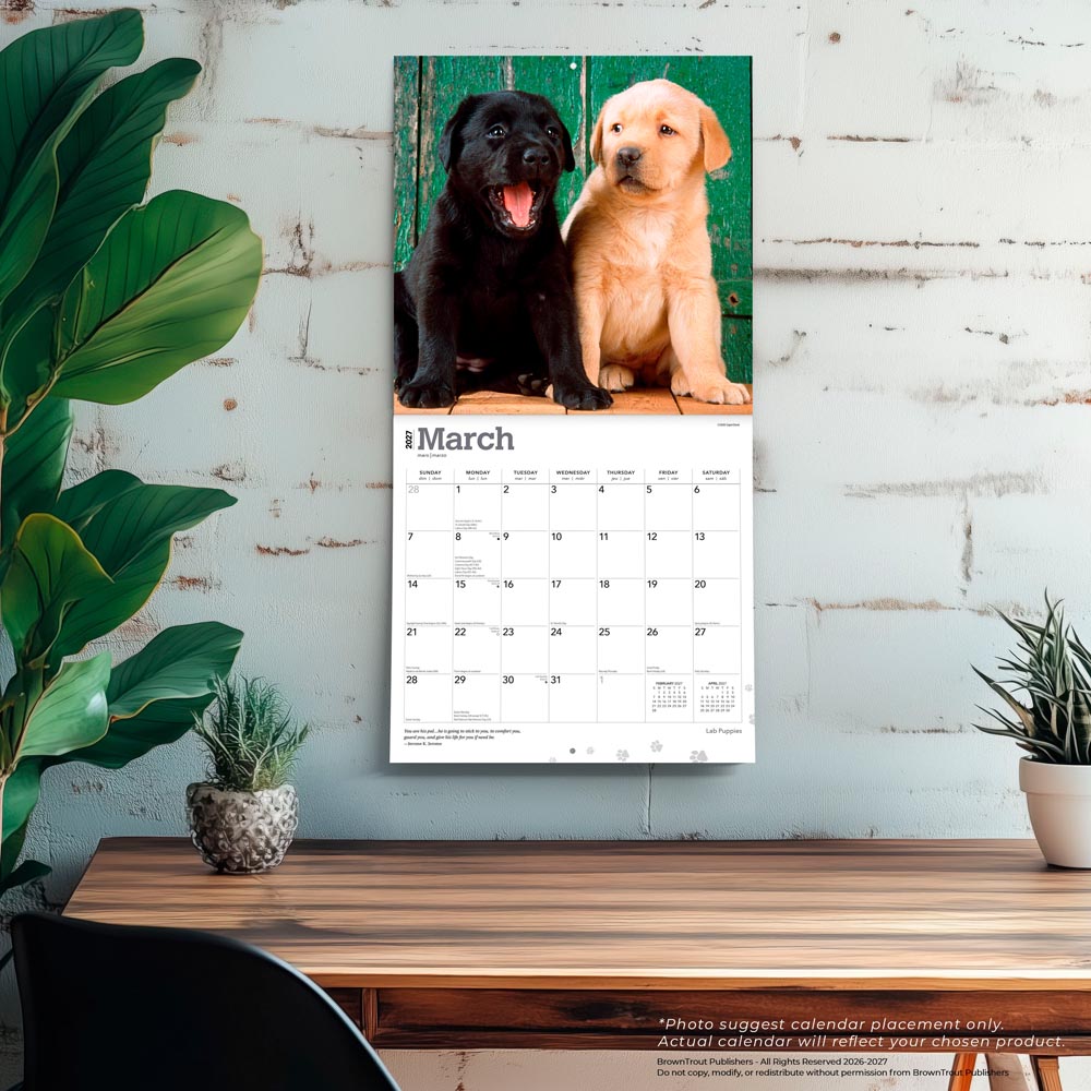 Labrador Retriever Puppies | 2027 12 x 24 Inch (Hanging) Monthly Square Wall Calendar